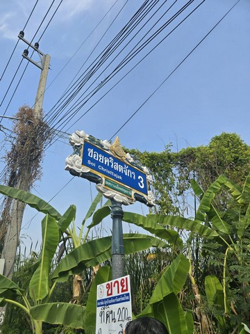 รหัส:  - ประกาศขาย ที่ดิน - 23000 BAHT.  ใหญ่ขนาด 200 SQ.WA 0 ngan 0 Rai ใกล้กับ โรงเรียนปทุมวิไล ศาลากลางปทุมธานี โลตัสปทุมธานี โรงพยาบาลปทุมธานี อยู่ย่านใจกลางเมืองปทุม เขตชุมชน  ทำเลดี 