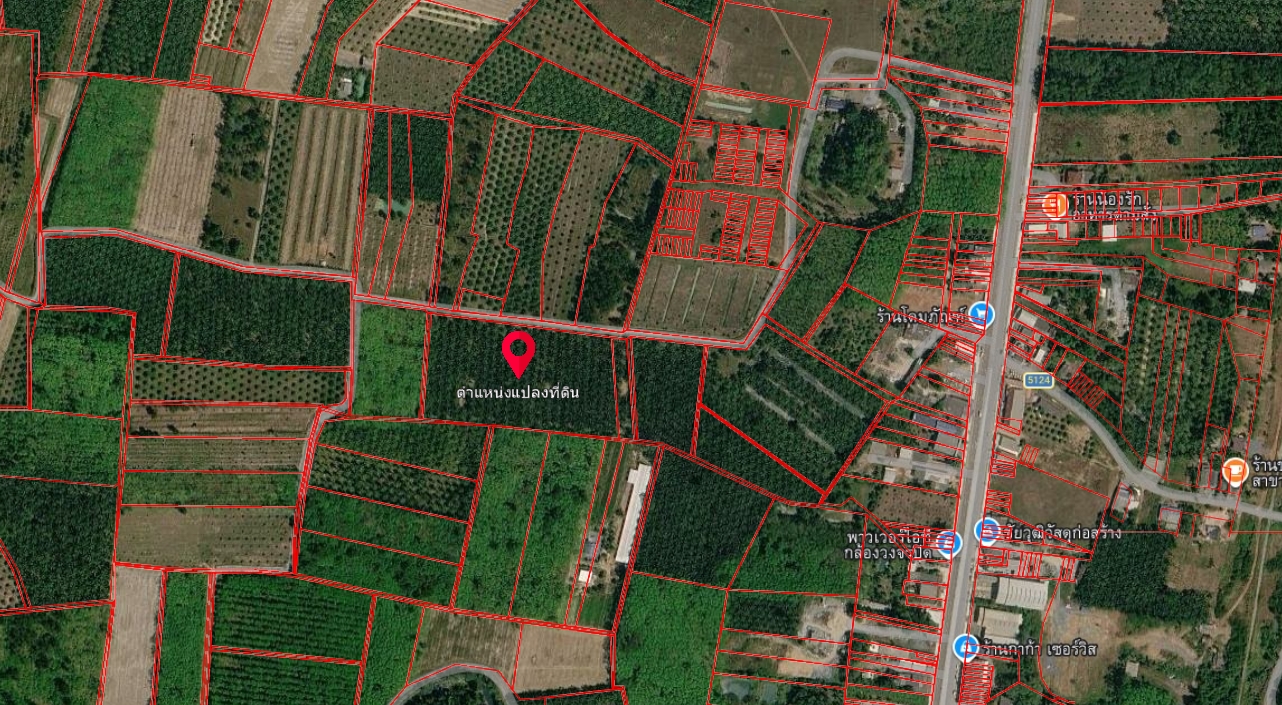 ขายที่ดินเปล่าพร้อมสวนปาล์ม  13 ไร่ ทำเลดี อำเภอรัษฎา จังหวัดตรัง