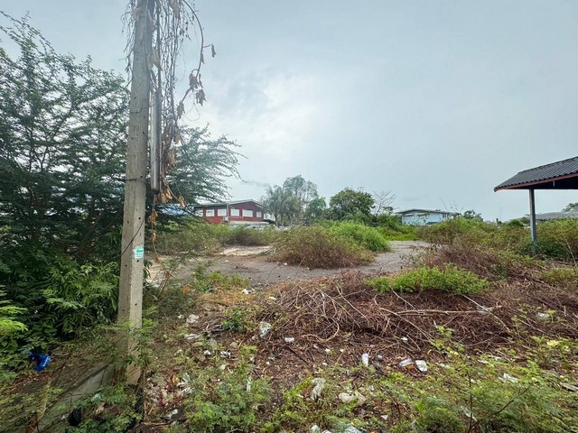 ขายที่เปล่าติดแม่น้ำแม่กลอง ที่เปล่าติดถนนราษฎร์ประสิทธิ์  ที่ดินบางจะเกร็งสมุทรสงคราม   ต.บางจะเกร็ง อ.เมือง จ.สมุทรสงคราม