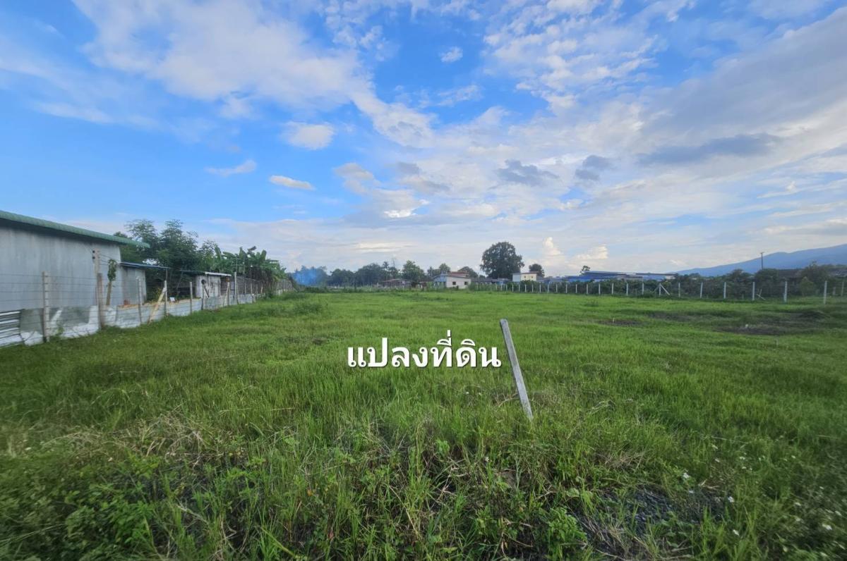 ขายที่ดินเปล่า ทำเลดี แม่ริม เชียงใหม่ ราคาต่ำกว่าตลาด ใกล้มหาวิทยาลัยแม่โจ้ วิวดอยสุเทพ