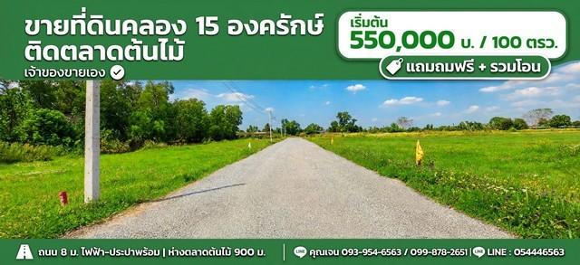 ขายที่ดินตลาดต้นไม้คลอง15 องครักษ์ 100 ตรว เจ้าของขายเอง เหมาะปลูกบ้านสวน