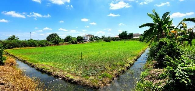 ขายที่ดินคลอง 12 หนองเสือ 1 ไร่ ติดถนน 2 ด้าน  เหมาะปลูกบ้านสวน ทำเกษตรพอเพียงได้ ทำโกดัง อยู่ใกล้แหล่งชุมชน
