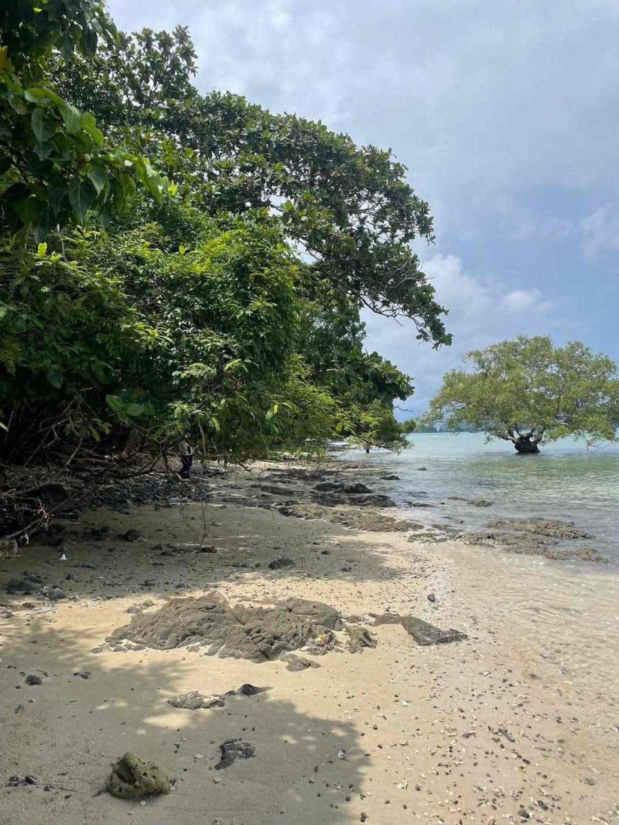 Vacant land for sale 35 Rai - prime location beachfront  Lon island, Phuket 