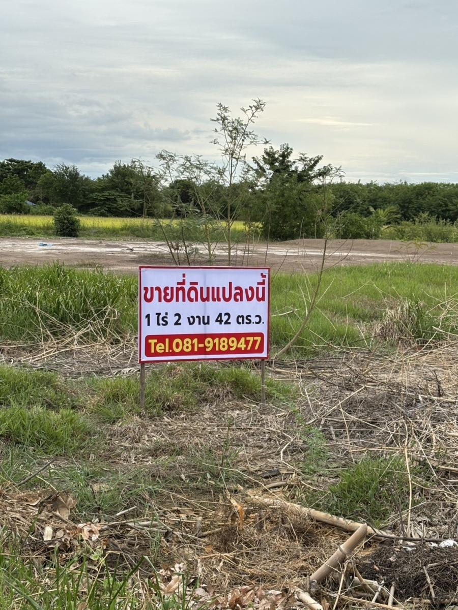 ขายที่ดินถมแล้ว เจ้าของขายเอง  ทำเลดีติดถนนซอย 2 ฝั่ง พระนครศรีอยุธยา