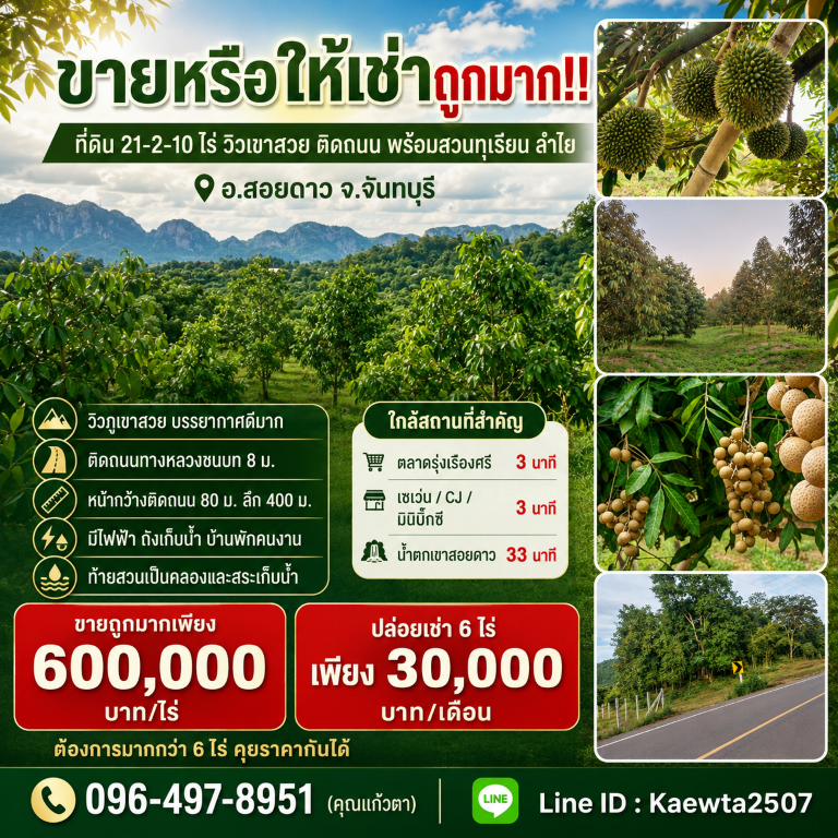 ขายหรือให้เช่าถูกมาก!! ที่ดิน 21-2-10 ไร่ วิวเขาสวย ติดถนน พร้อมสวนทุเรียน ลำไย อ.สอยดาว จ.จันทบุรี