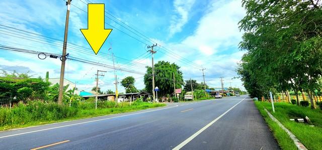 ขายที่ดินติดถนนลาดยางเรียบคลอง10หนองเสือ ใกล้อำเภอหนองเสือ วิวคลอง ติดถนน 2 ด้าน ทำเลดีเหมาะค้าขาย ร้านอาหาร บรรยากาศดี อยู่ใกล้แหล่งชุมชน