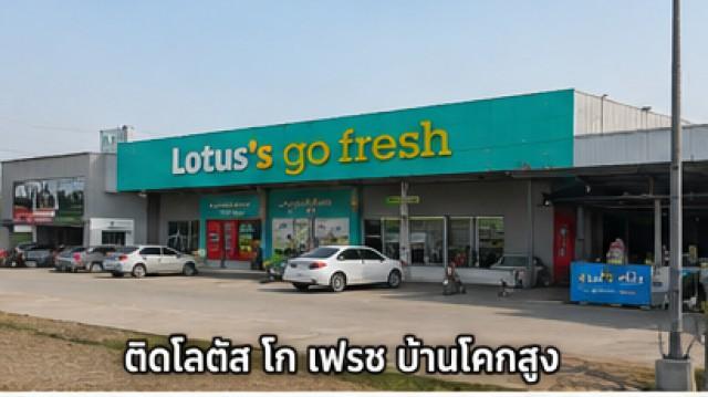 ที่ดินติดถนน 8 เลน บ้านโคกสูง 19 ไร่ 3 งาน 30 ตร.ว.ติดโลตัส โก เฟรช บ้านโคกสูง ขาย-ให้เช่า 44,999-49,999B-M ใกล้ตลาดบ้านโคกสูง เหมาะทำธุรกิจ