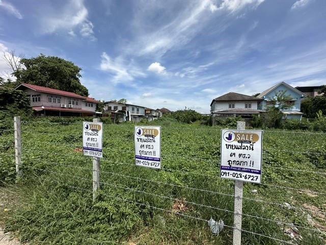 ขายที่ดิน ดอนเมือง สรงประภา 24 ขนาด 69 ตร.วา ถูกมาก!! เหมาะสร้างบ้าน