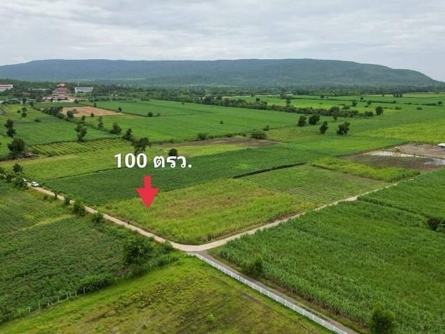1 ขาย ที่ดิน ถูกสุด ที่วิวเขา ติดถนนคอนกรีต1แสนบาท 100ตรว. วังเพลิน โคกสำโรง ลพบุรี T .086-301-6161 100 ตารางวา ลพบุรี    100000 บาท