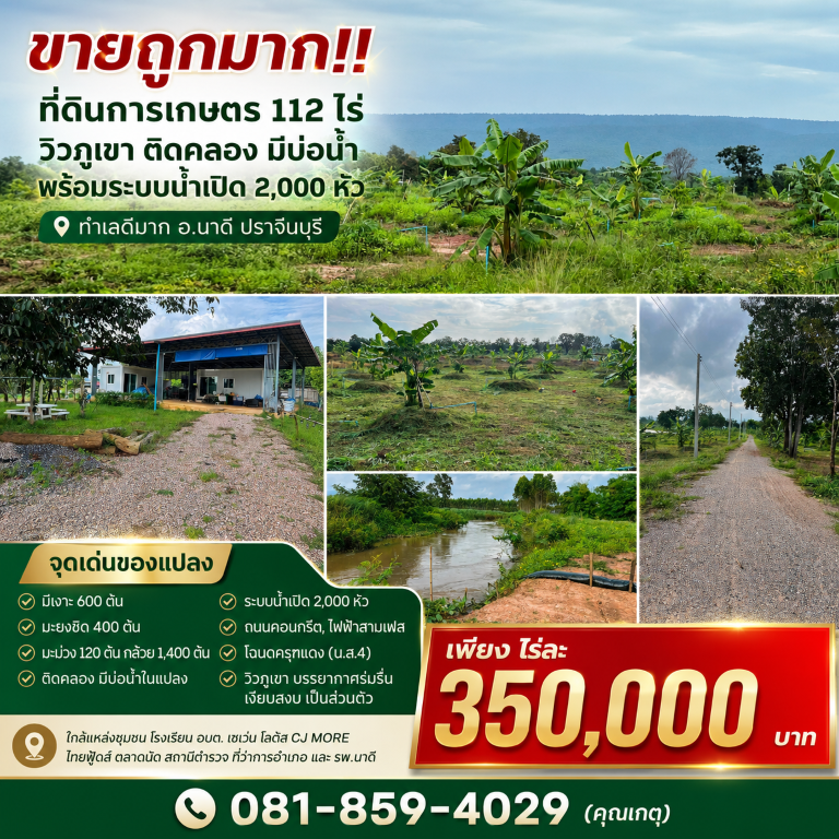 ขายถูกมาก!! ที่ดินการเกษตร 112 ไร่ วิวภูเขา ติดคลอง มีบ่อน้ำ พร้อมระบบน้ำเปิด 2,000 หัว ทำเลดีมาก อ.นาดี ปราจีนบุรี