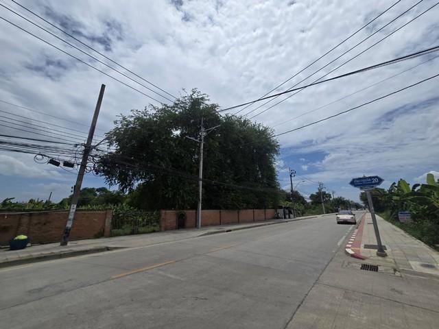 2342 ขาย ที่ดิน ที่ดิน ทวีวัฒนา-กาญจนาภิเษก ชั้นทั้งหมด 1 ชั้น กรุงเทพ ตลิ่งชัน    118320000 บาท