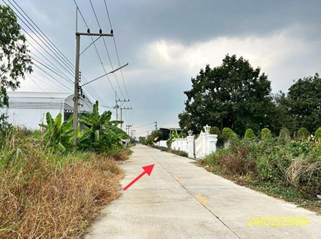 ขายบ้านเดี่ยวปทุมธานี อำเภอคลองหลวง ถนนเลียบคลอง 2 ฝั่งตะวันออก
