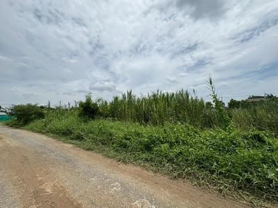 แปลงสวยหายาก เหมาะสร้างบ้านอยู่อาศัย!! ขายที่ดินเปล่า 90  ตรว. เลียบคลองทวีวัฒนา แหล่งอยู่อาศัยไม่แออัด ผังเมืองสีเขียว