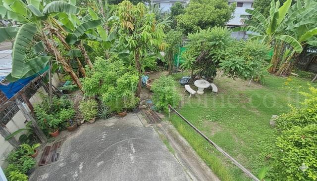 ที่ดินเปล่า 59.5 ตารางวา ถมแล้ว สุขุมวิท 97/1 ใกล้ BTS บางจาก ทำเลดี ราคาถูกมาก