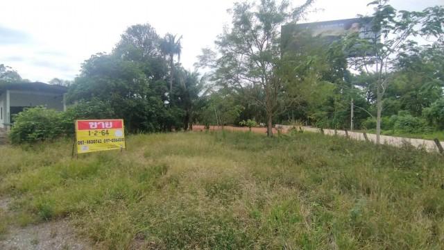 ขายที่ดิน 1-2-64 ไร่ พร้อมบ้าน  ใกล้ท่าอากาศยานนานาชาติสุราษฎร์ธานี