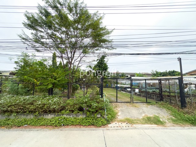 ที่ดิน 198 ตรว. ถมแล้วแปลงสวย รามอินทรา–สุขาภิบาล 5  เข้า–ออกได้หลายเส้นทาง