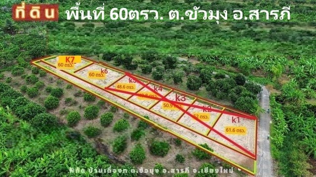 ขายที่ดินแบ่งจัดสรร 60ตรว. ลดเหลือ 294,000บ. ฟรีโอน ถนน น้ำ ไฟฟ้า ใกล้วัดขัวมุง ต.ขัวมุง อ.สารภี เชียงใหม่
