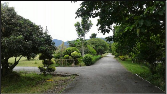 ขายที่ดิน115ไร่ ลดพิเศษ 55ล. ผ่อนได้ ฟรีโอน บ้านยุโรป3หลัง สาธารณูปโภค เหมาะทำรีสอร์ท คาเฟ่ ที่เที่ยว เกษตร ใกล้เทศบาล ต.ทากาศ อ.แม่ทา ลำพูน