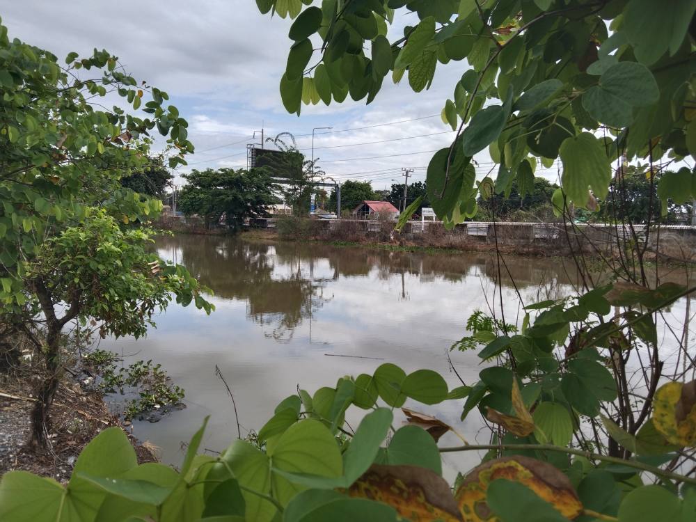 หมายตกปลา คลอง 5 คลองหลวง ปทุมธานี ปลา ปลานิล/ปลาตะเพียน - ชุมชนคนตกปลา รักประมูล